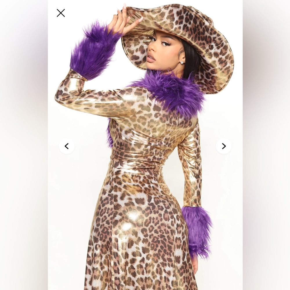 Leopard Print Costume with Purple Accents. 
Gold Digger. Pimp. Made of Money.